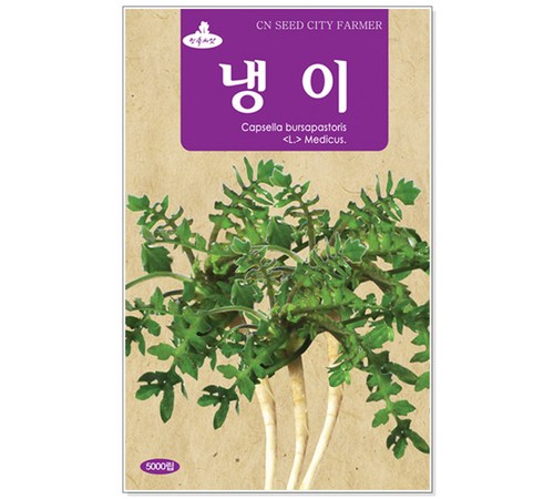 대씨 감 이미지