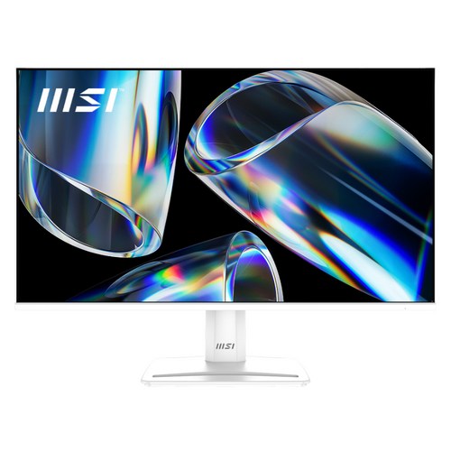 MSI FHD IPS 120Hz 모니터, 62.23cm, MP251W_E2_M(무결점)