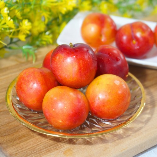 [하루10박스한정] 꿀당도 국산 햇 자두, 1박스, 300g