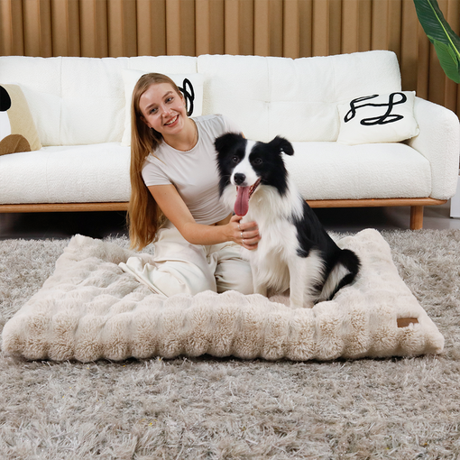 BingoPaw 강아지 방석 M4XL 폭신 방석 하우스 방석 사각벙석 와플방석 커버분리 베이지, 베이지BG, 1개