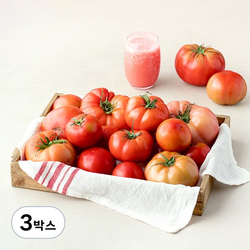 주스용 못난이 토마토