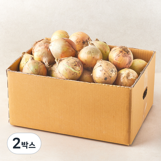 국내산 양파