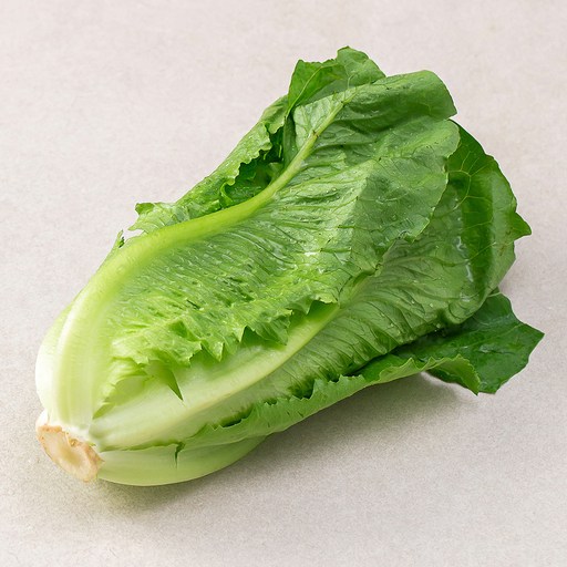 국내산 로메인 250g 신선하고 아삭한 야채의 최선택