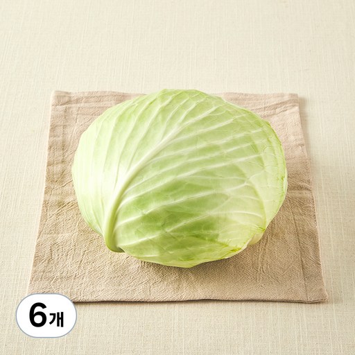 국내산 친환경 양배추