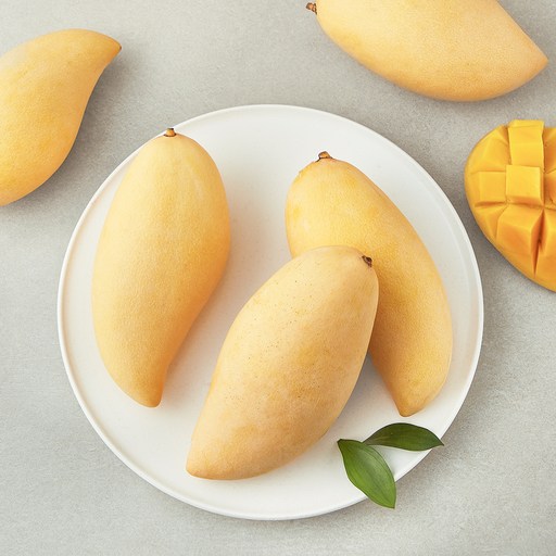 로켓프레시 이웃마을 태국산 남독마이 망고