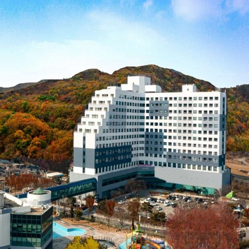 패밀리 디럭스