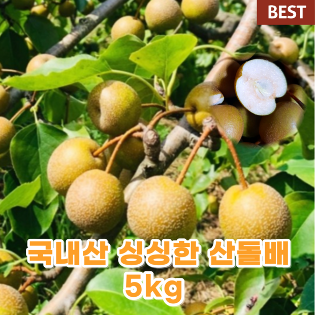 19cab2c97570b32fdcacabec887cb97168d830ca8428cd4d0c2ae78acec7.png