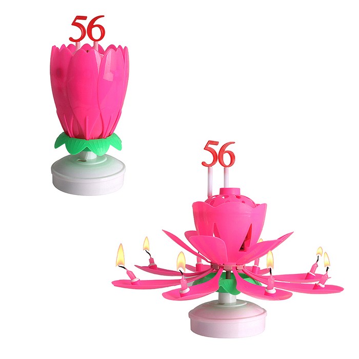 파티라이프 회전 멜로디 생일축하 숫자 연꽃초 + 숫자세트 2p, 핑크, 2세트