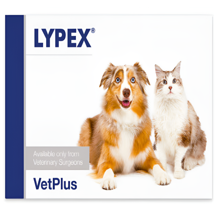 벳플러스 라이펙스 강아지 고양이 독 캣 구토 췌장효소 영양제 캡슐