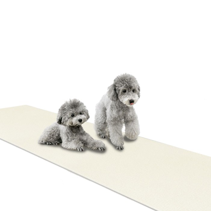 딩동펫 미끄럼방지 매트 롤형