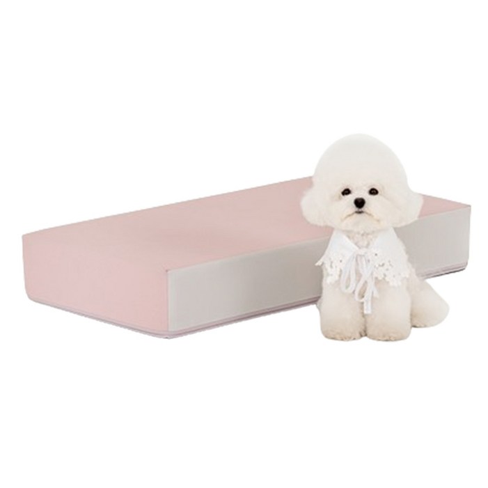 퍼핑 논슬립 펫스텝 1단