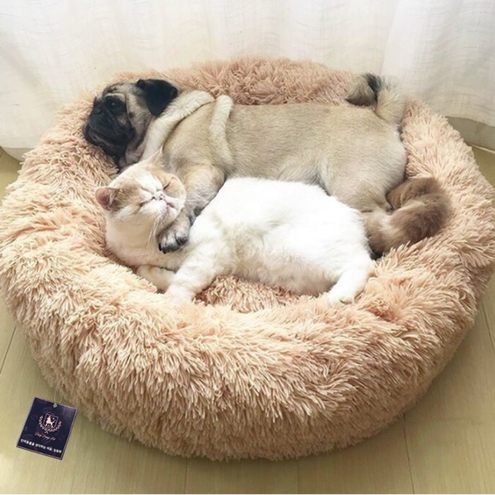 딩동펫 반려동물 폭신 도넛 방석