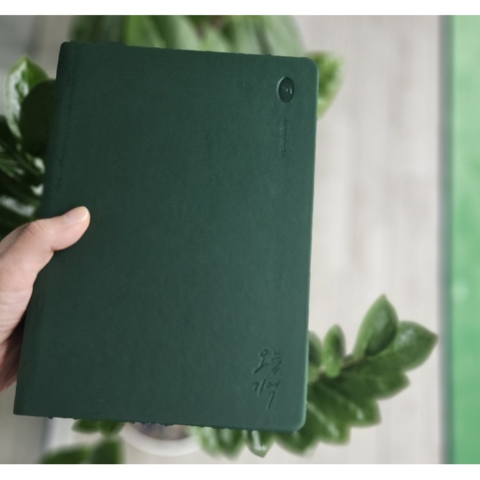 리훈 오늘기억 5년 다이어리 성인 감사 일기장 육아 성장 일기 만년 다이어리