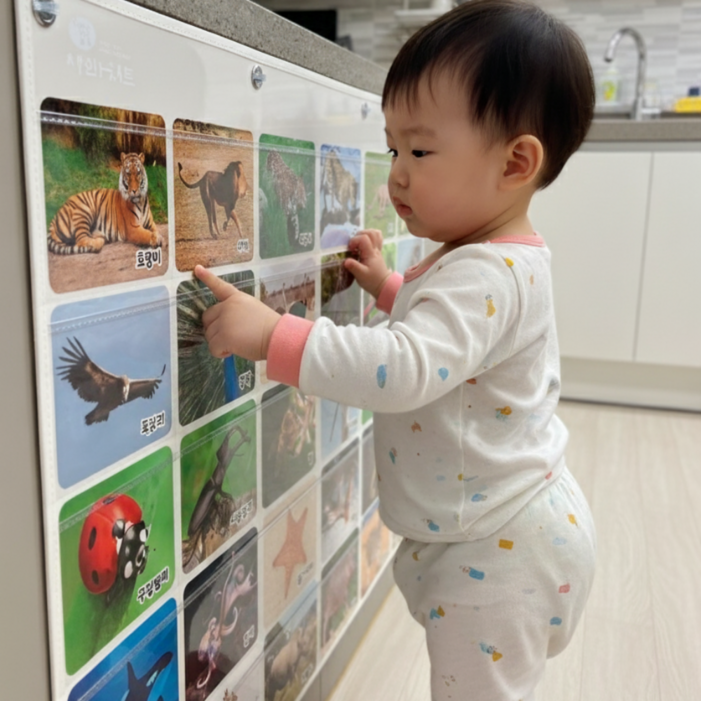 아빠차트 NA7 똑쟁 핑크퐁 아기똥 진짜진짜생생한 마술 아기 유아 낱말카드 차트 노출 수납 꽂이