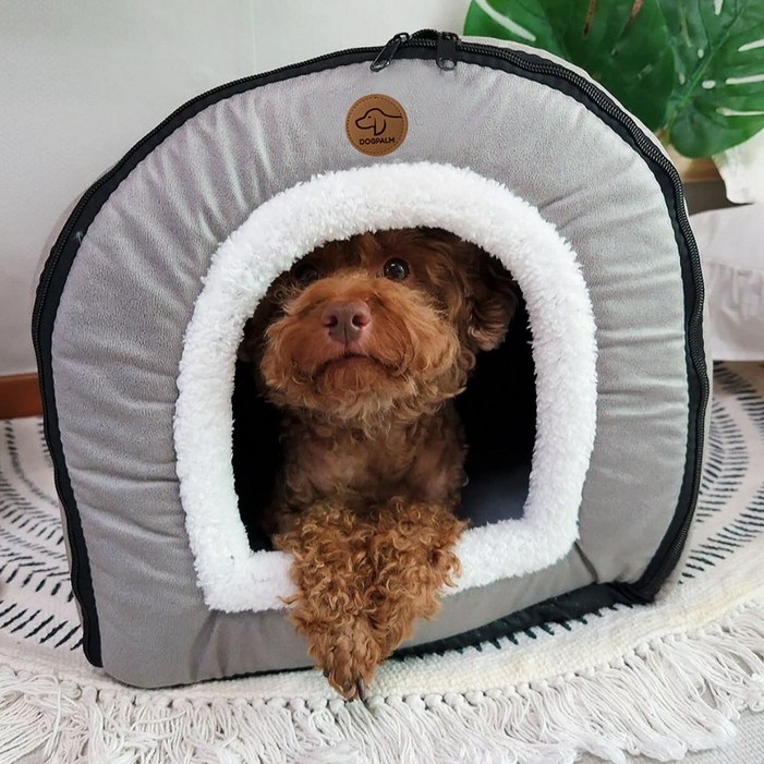 도그팜 방석 겸용 사계절 강아지집 고양이 하우스, 그레이, 1개