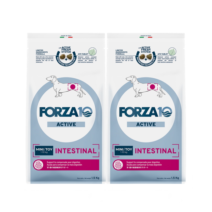 포르자10 독 인테스티널 미니앤토이, 2개, 1.5kg, 소화기능췌장개선