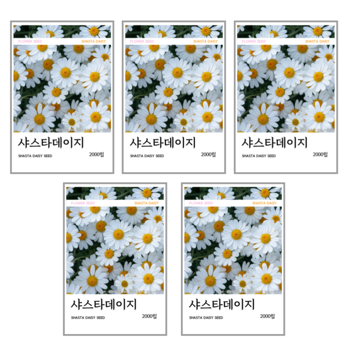 샤스타데이지 씨앗 2000립코팅 종자 8g