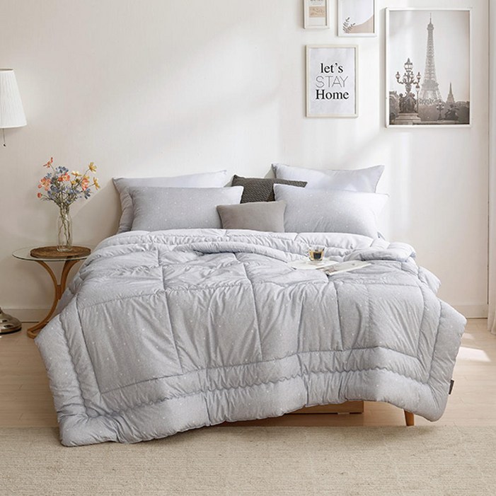 세사 브루디 알러지케어 차렵이불 그레이, Q, 1개