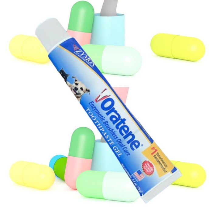 강아지 고양이 치약 오라틴 메인터넌스 치약 자이목스