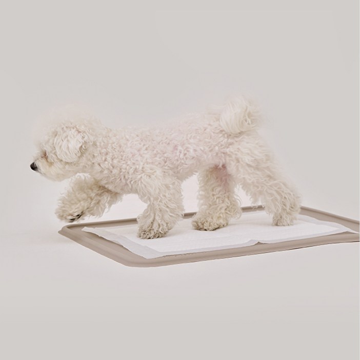 본사직영당일출고 강집사 실리콘 날개 배변매트 논슬립 화장실, 1개, 베이지