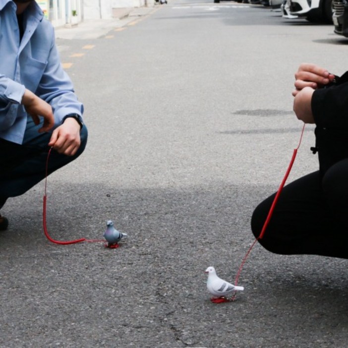 반려 비둘기 세트 애완 인형 [움직이는 쓸데없는 쓸모없는 웃긴 선물 장난감 킹받는 친구 필요없는 무쓸모 태엽]