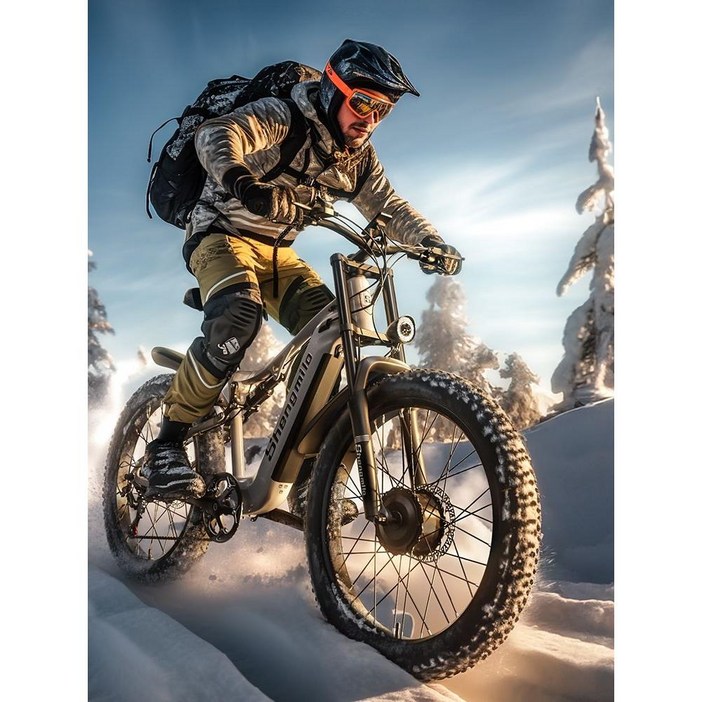EMTB 전기 산악자전거 전동 오프로드 전기자전거 자토바이