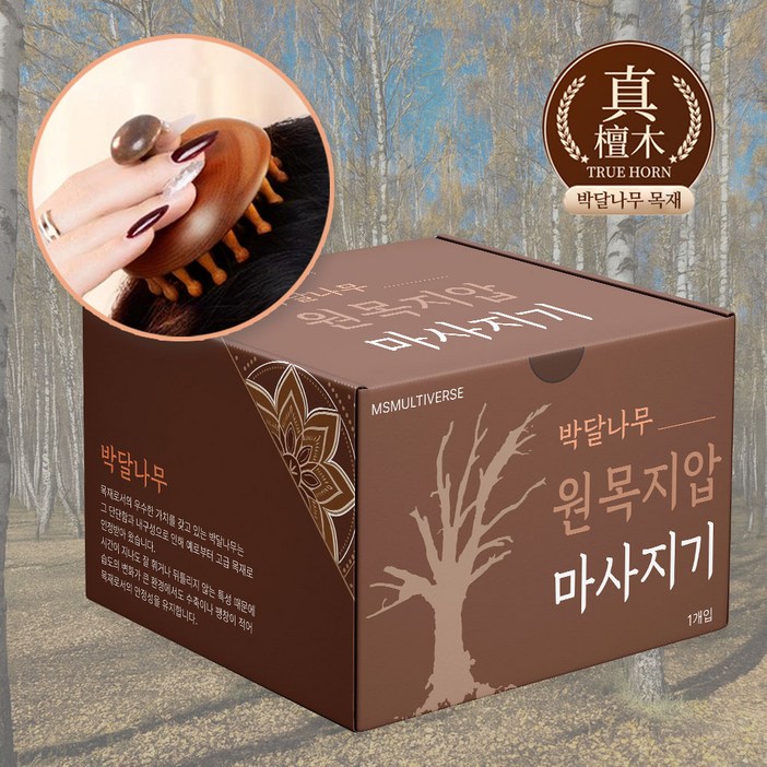 MSMULTIVERSE 박달나무 원목 머리꾹 두피 경락 마사지기 괄사 브러쉬 두피 머리 마사지 헤어케어 케이스, 쳔연박달나무, 1개