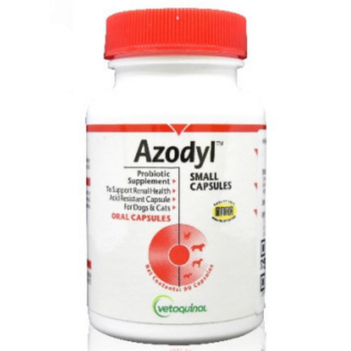 한정냉장배송병원정품 아조딜 90캡슐 동물병원전용 신장질환 보조제