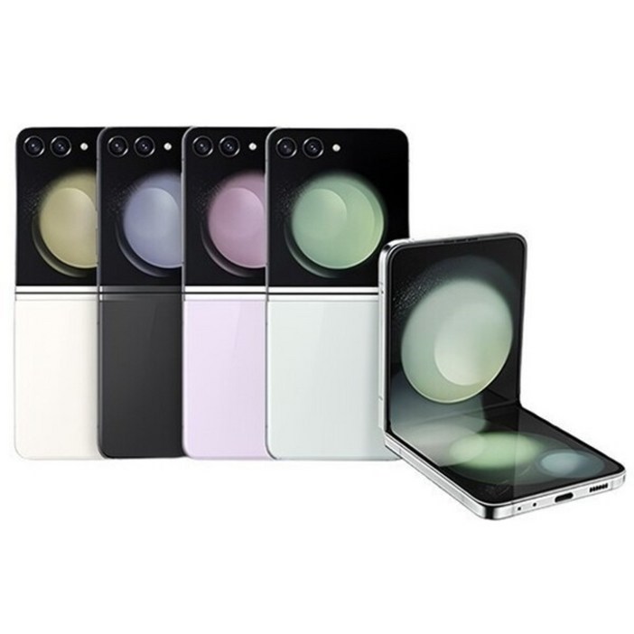 삼성 Ai 갤럭시Z 플립5 256GB 공기계 S급 (구성품: 단말기 + 유심핀 + 보호케이스 + 보호필름 / 12개월 무상보증), 256GB, 그라파이트