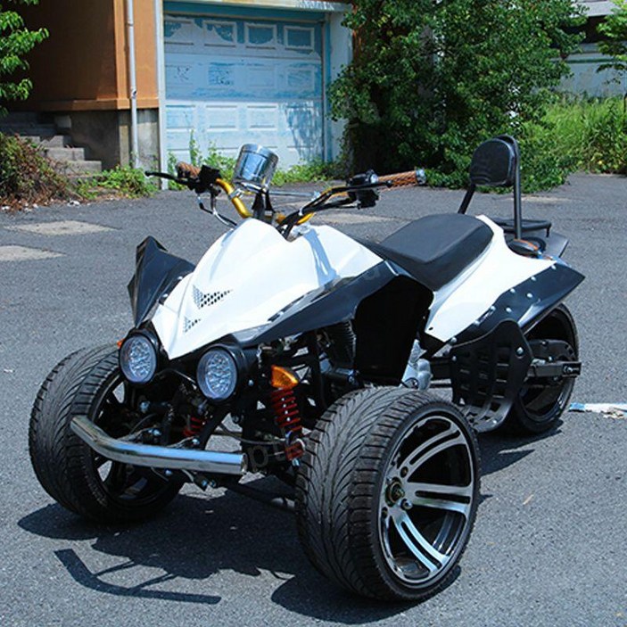 역삼륜 오토바이 ATV 스포츠 전동스쿠터 바이크