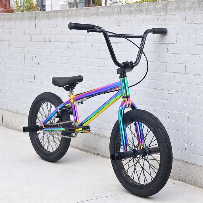 셔닉스 BMX 묘기 자전거 입문용