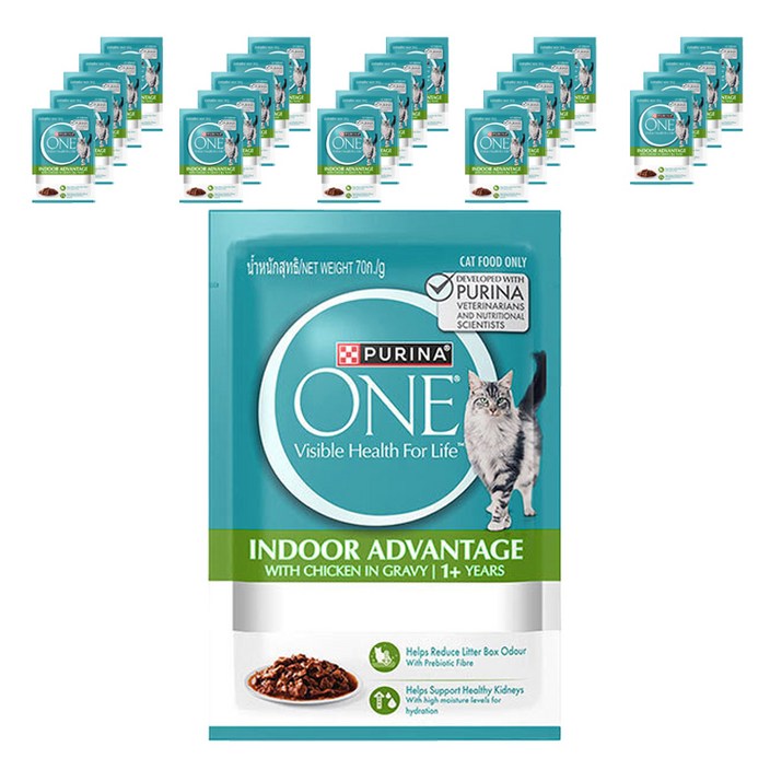 퓨리나원 어덜트 캣 습식 인도어 주식파우치, 닭, 70g, 24개