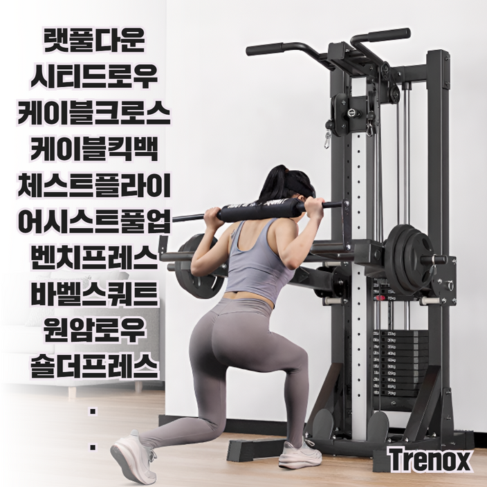 트레녹스 홈짐 세트 벤치프레스 철봉 헬스기구 치닝디핑 스미스머신 다기능 턱걸이 풀업 홈트, 클래식형100kg추덤벨벤치