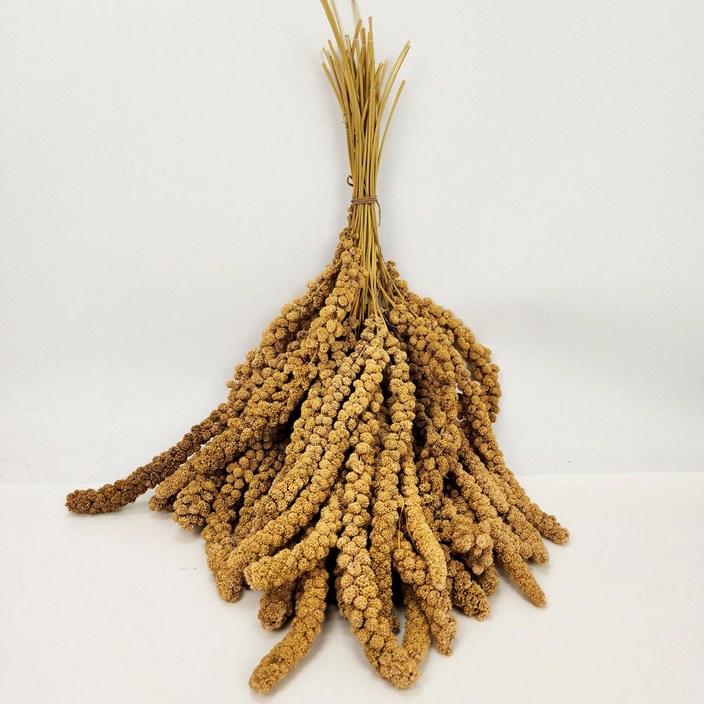 스프레이 밀렛 500g 알곡 앵무새 햄스터 소동물간식