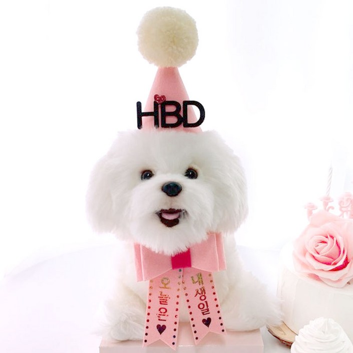 핑크캔디 강아지 생일파티세트