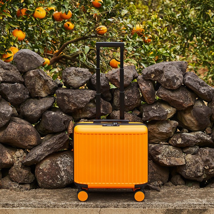 페스페스 모던하우스 미니02 캐리어