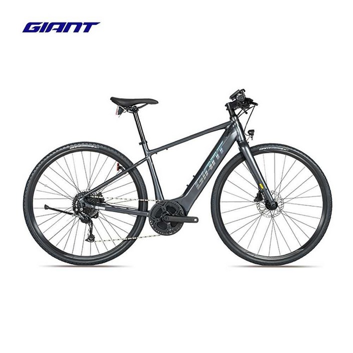 자이언트 전기자전거 FAST E+1 700C