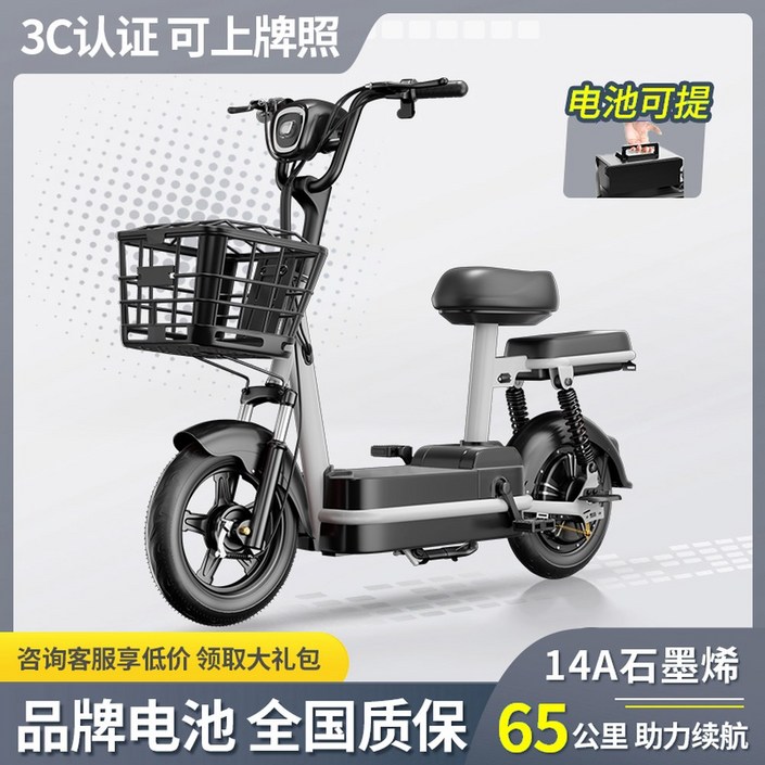 전기자전거 mtb 자전거 피피투 배터리 전기 장거리 최신형 편리한 qicycle