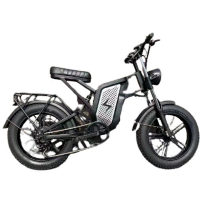 다니엘 전기자전거 자토바이 산악용 MTB 48V 25Ah