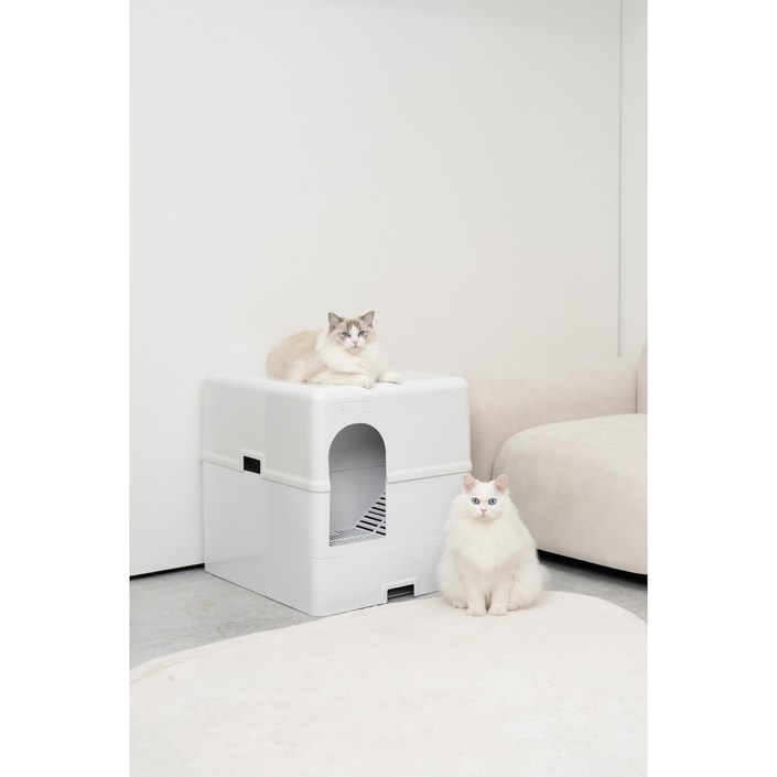 99.9 사막화방지 펫트루 SANDDEATH 고양이 화장실, 1개, 단일색상