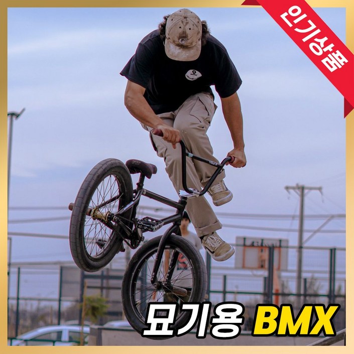 BMX 자전거 묘기 바이크 입문용 스턴트 경량