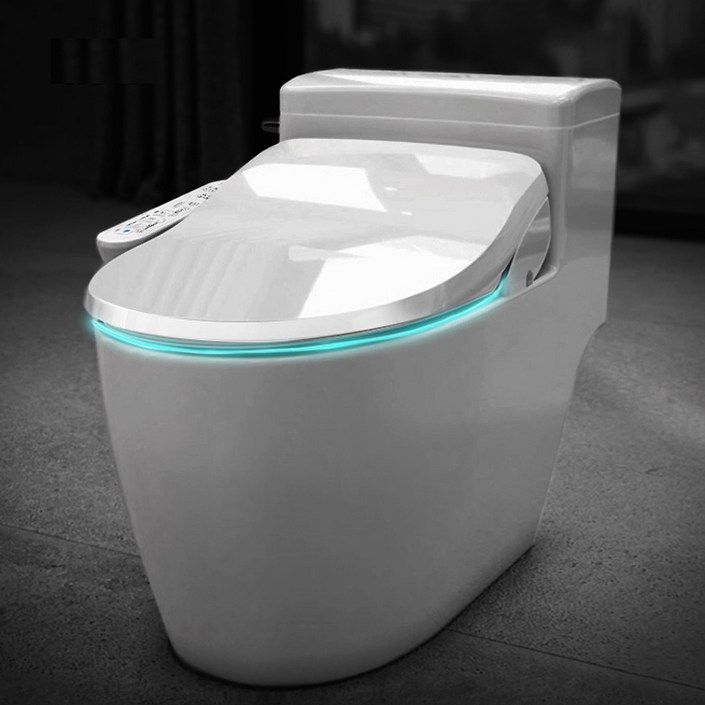 앤트 비데 최신형 IPX8 방수 직수 안심세척 하이브리드 필터필요없는 IPX-750A, 자가설치, 고객직접설치