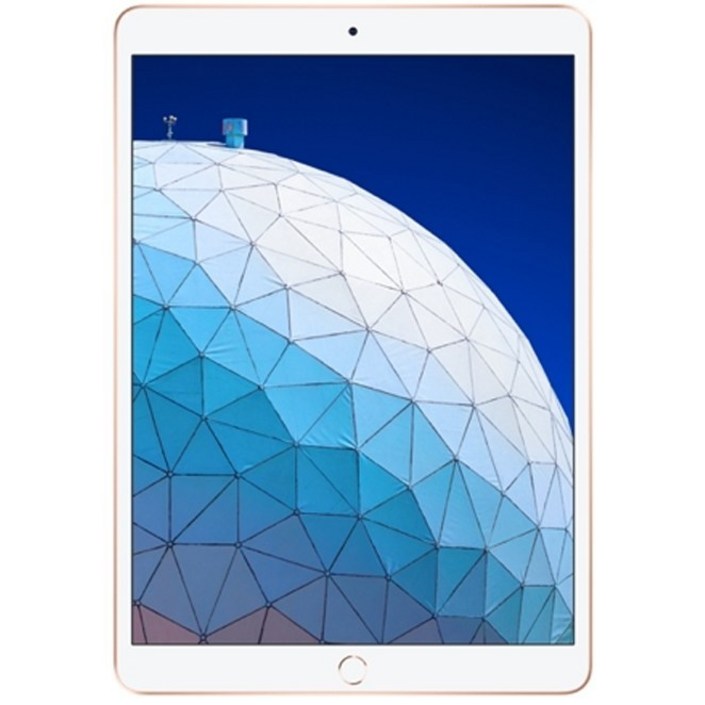 Apple 2019년 iPad Air 10.5 3세대
