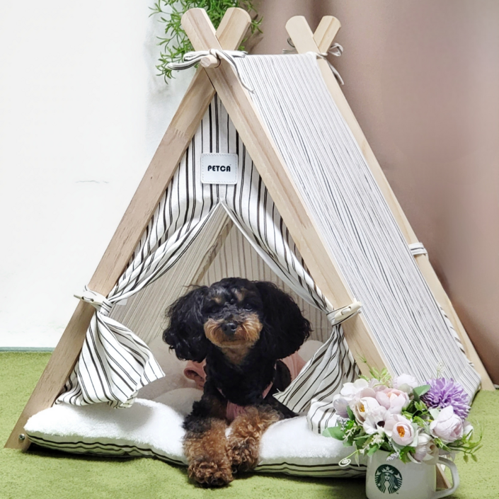 펫카,강아지 고양이 원목 인디언 텐트 하우스, 스트라이프