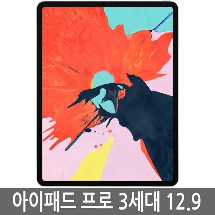 아이패드 프로3세대 12.9 iPad Pro WiFiLTE 정품