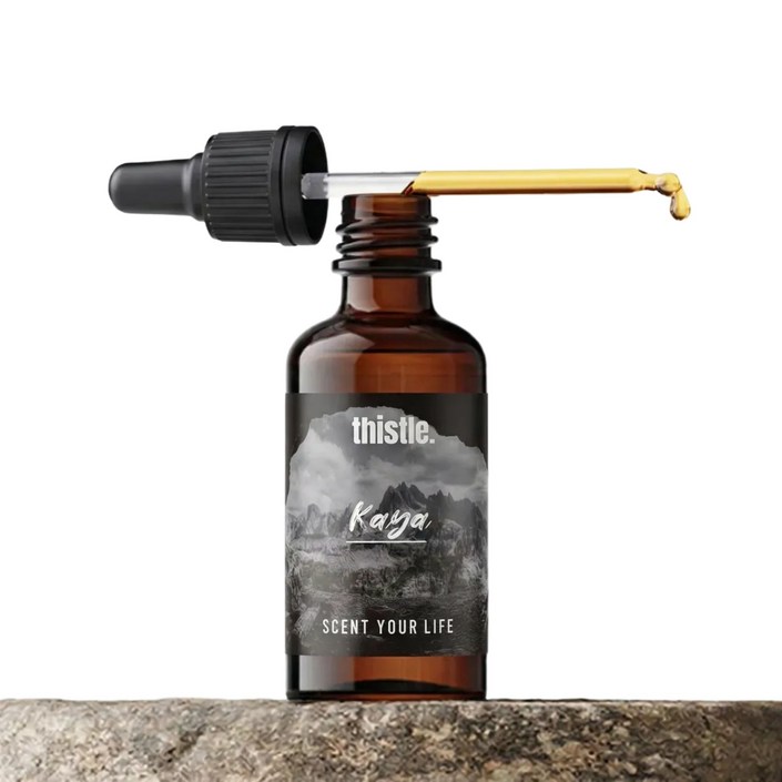 티슬 디퓨저 프래그런스 리필 오일 원액 방향제 아로마 석고 스톤 디퓨져