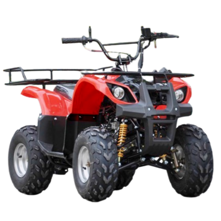 썬더트레일 전기 전동 ATV 4륜 바이크 액티비티 농업용 농사 오토바이 경운기, 48V 750W 8인치