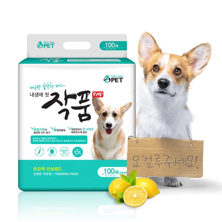 작품패드 100매 강아지 배변패드 애견패드 개패드 작품패드 100매 강아지 배변패드 애견패드 개패드