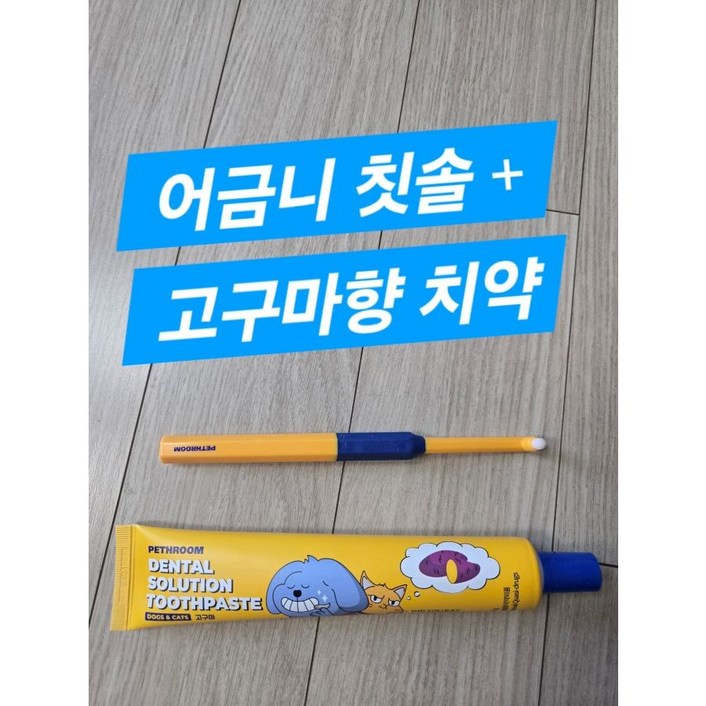 페스룸 덴탈 솔루션 세트어금니 칫솔  치약 초소형 초극세사모 포인트칫솔 바르는 치약 효소 입냄새 치석 제거