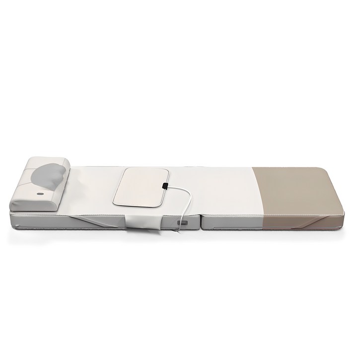 제스파 레비르 온열 목 어깨 전신 등 지압 마사지기 ZP8306, ZP8306, 레비르